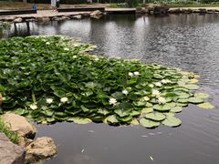-前关湿地公园