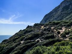 -鹿嘴山庄