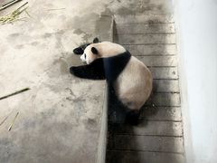 -杭州动物园