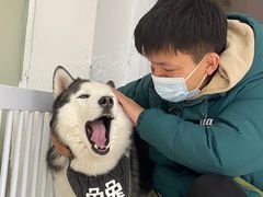 -Husky Go!哈士奇体验馆·宠物咖啡厅狗咖