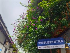 -渝绝回味碗土家洋芋饭(学道街店)