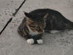 -烟台南站