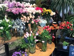 -植物学家的女儿(北马道巷店)