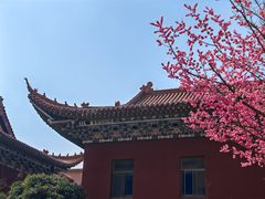 -皇罗禅寺