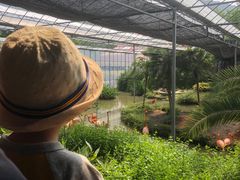 -无锡动物园·太湖欢乐园
