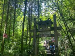-凤栖山
