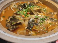 -魏铭鱼头捞饭(晋阳路店)