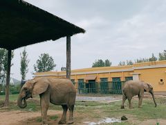 -哈尔滨北方森林动物园