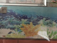 -桔子海鲜烧烤大排档(台东店)