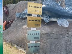 -碧海银沙景区