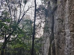 -窦圌山风景区