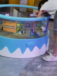 点击看大图 -神奇动物撸宠馆·羊驼·小浣熊·异宠(豫园店)