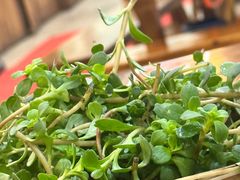 -岳记兴隆·青城腊排铜火锅(融创店)