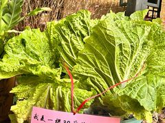 -园林美食城·本土农家菜(杨和镇店)