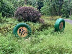 -张坝桂圆林公园
