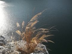 -黄埔油麻山森林公园