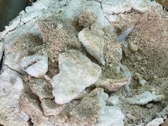 -吉英盐焗鸡(文中路店)
