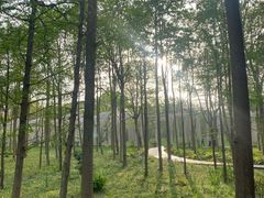 -渤公岛生态公园