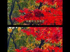 -西湖天地