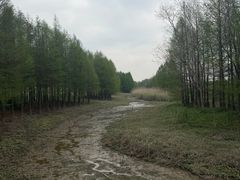 -双山岛