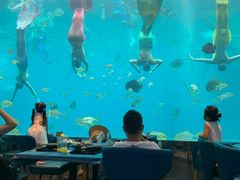 -瑞德姆美人鱼海底演艺主题餐厅(亚龙湾店)