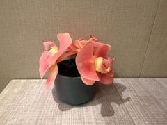 -御膳汤品(猎人坊店)