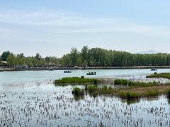 -野鸭湖国家湿地公园