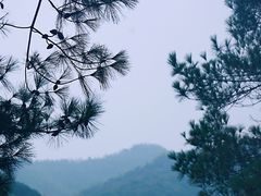 -柯岩风景区