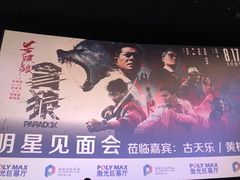 -保利国际影城(保利文化广场店)