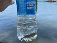 -西湖游船