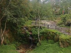 -唐崖土司城遗址