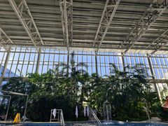 -中家鑫园温泉酒店鑫悦汤泉