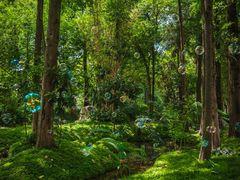 -成都市活水公园