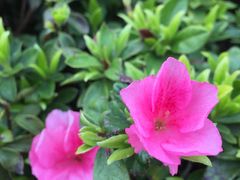 -白塘生态植物园