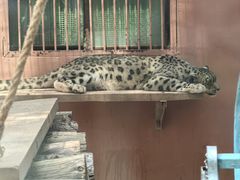 -青藏高原野生动物园