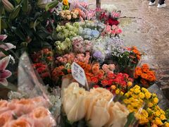 -桂林市花鸟市场