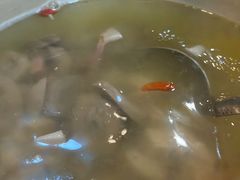 -广迎居老正兴菜馆