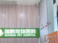 -瑞鹏宠物医院·微创内窥镜·骨外科·牙科(翠竹分院)