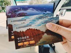 -上海海湾国家森林公园