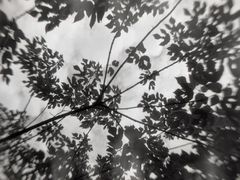 当年暗房俱乐部(上海店)-当年暗房俱乐部(上海店)