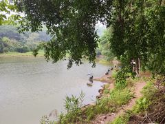 -火炉山森林公园