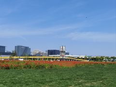 -春花秋色城市公园