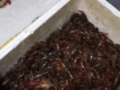 -江杨农产品批发市场