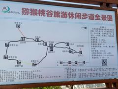 -大岭沟猕猴桃谷风景区