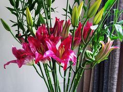 -凯逸轩·匠心粤菜(中城名仕汇店)