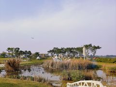 -空港花田景区
