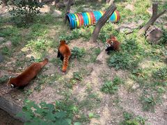 -大连森林动物园