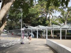 -大埔公路-马料水段香港中文大学(公交站)