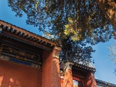 -少华山国家森林公园