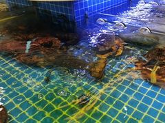 -大众海鲜(巨龙北路店)